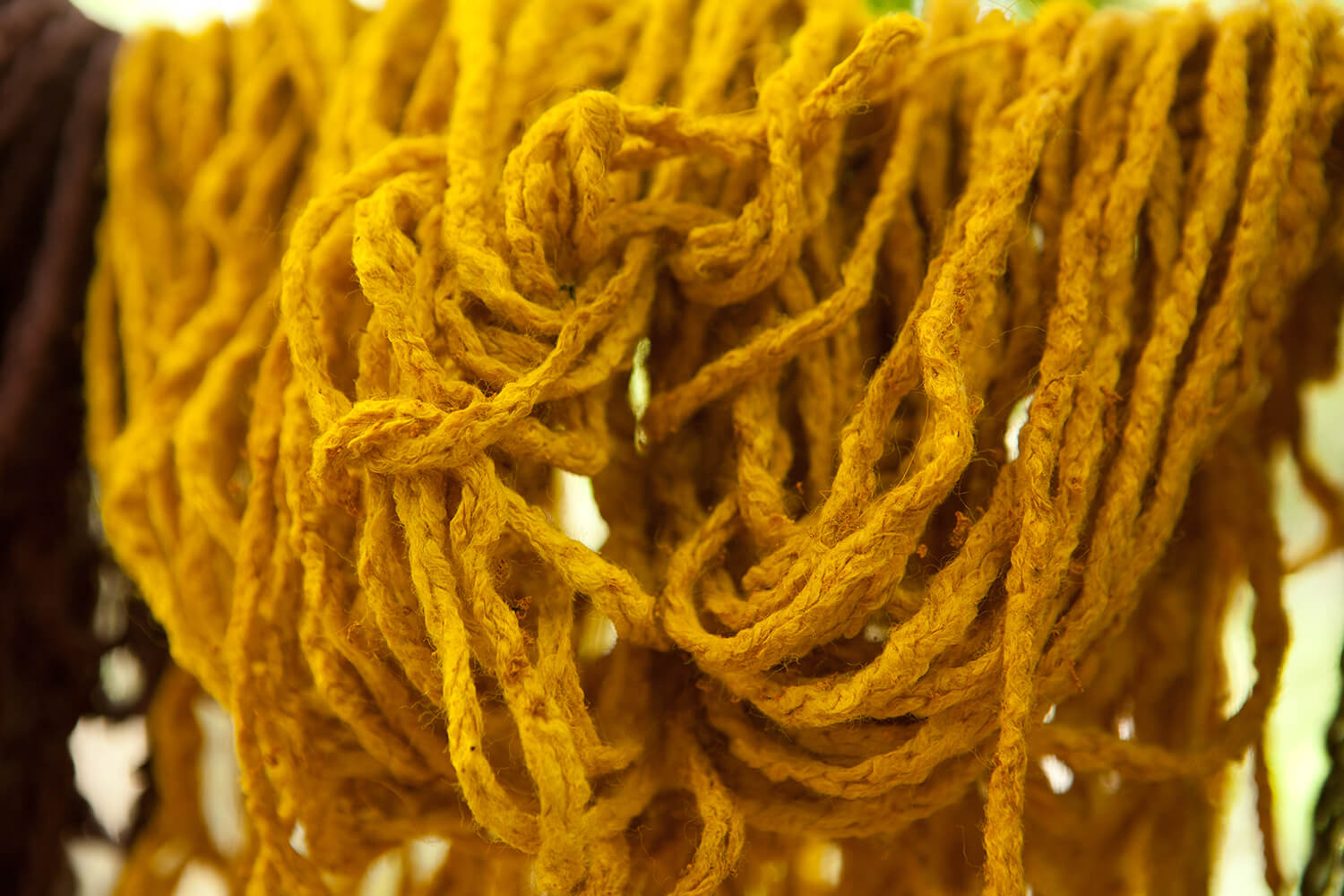 CURCUMA_galeria 43_MG_7109.jpg